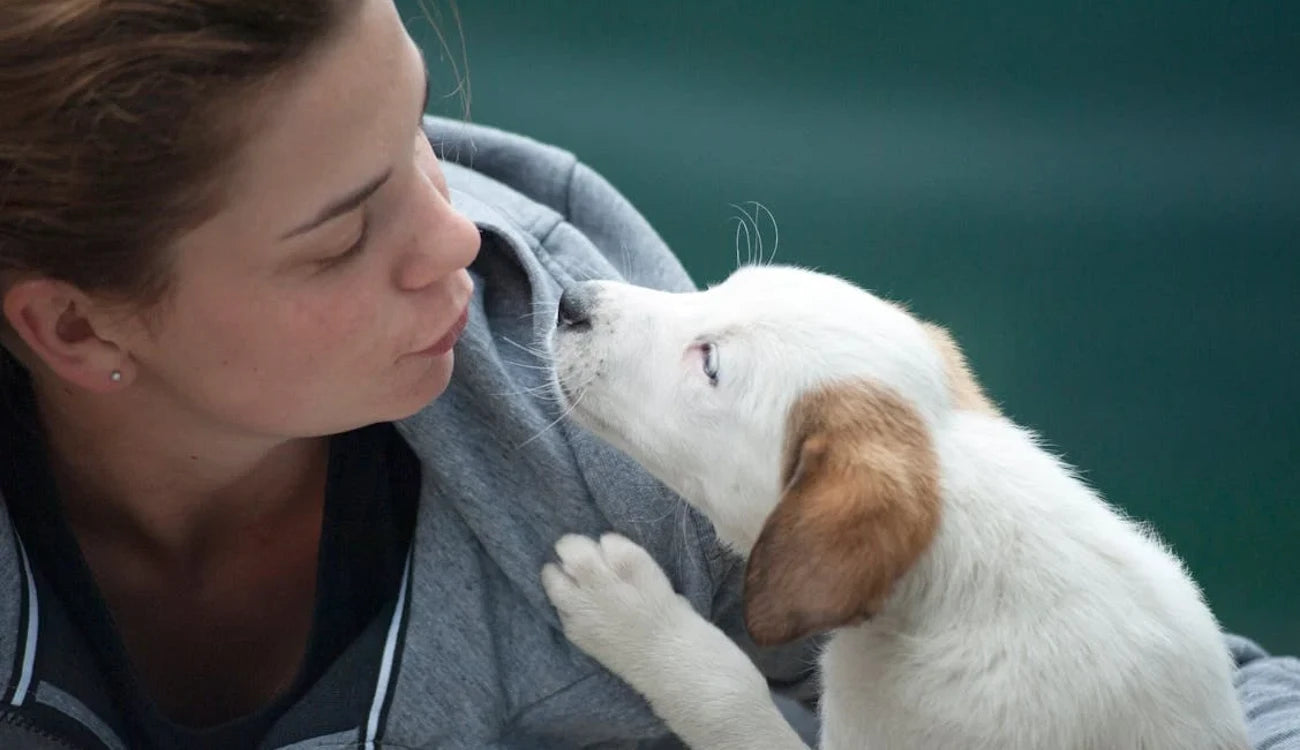 Tips voor het verzorgen van je hond