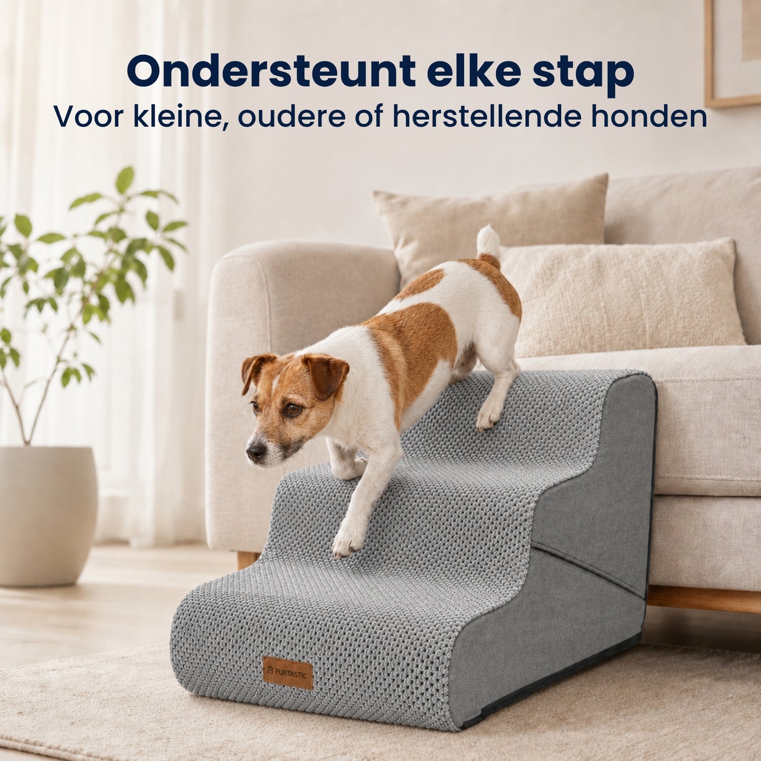 Hondentrap 2-in-1 - Hondentrap & Loopplank