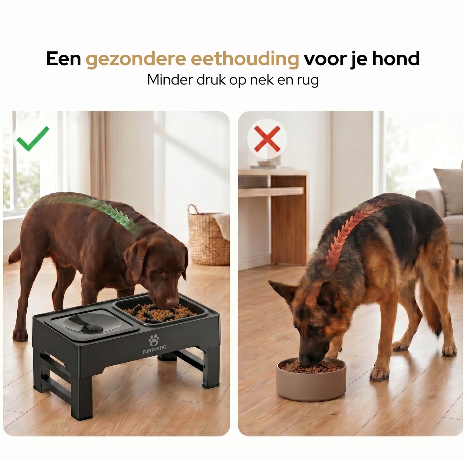 Verhoogde Voerbak en Drinkbak voor Honden - Anti-schrok en Anti-knoei functie