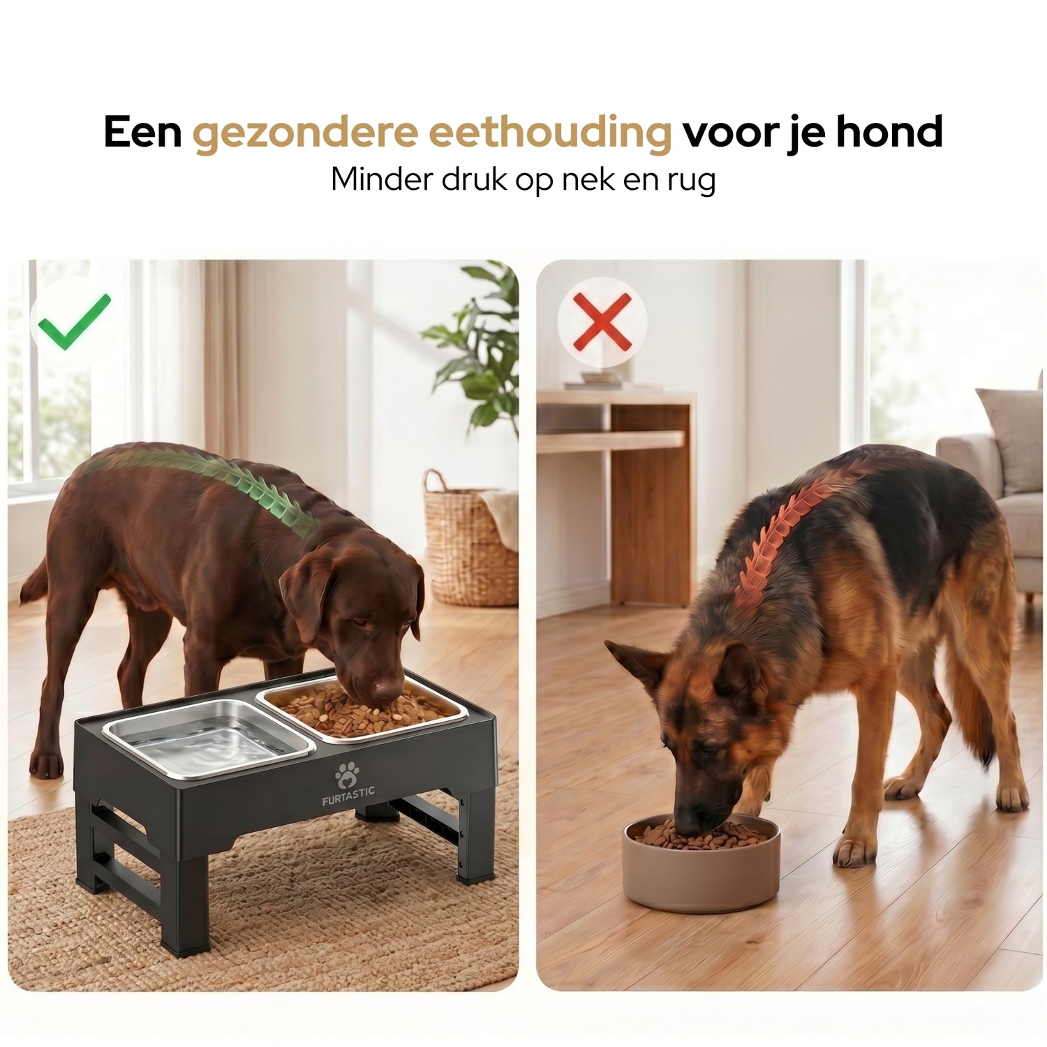Verhoogde Voerbak en Drinkbak Hond - 2x RVS bak