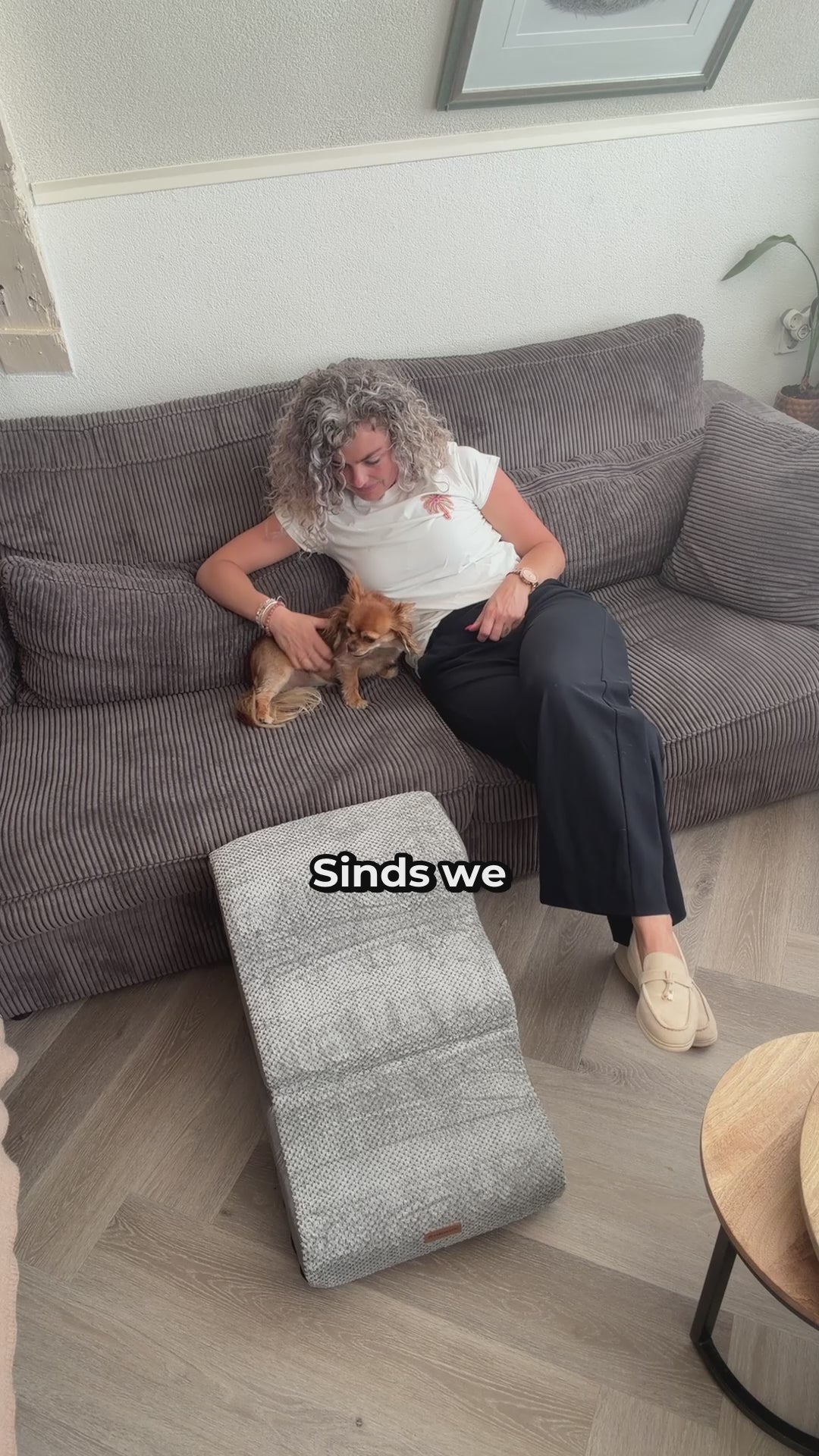Hondentrap 2-in-1 - Hondentrap & Loopplank