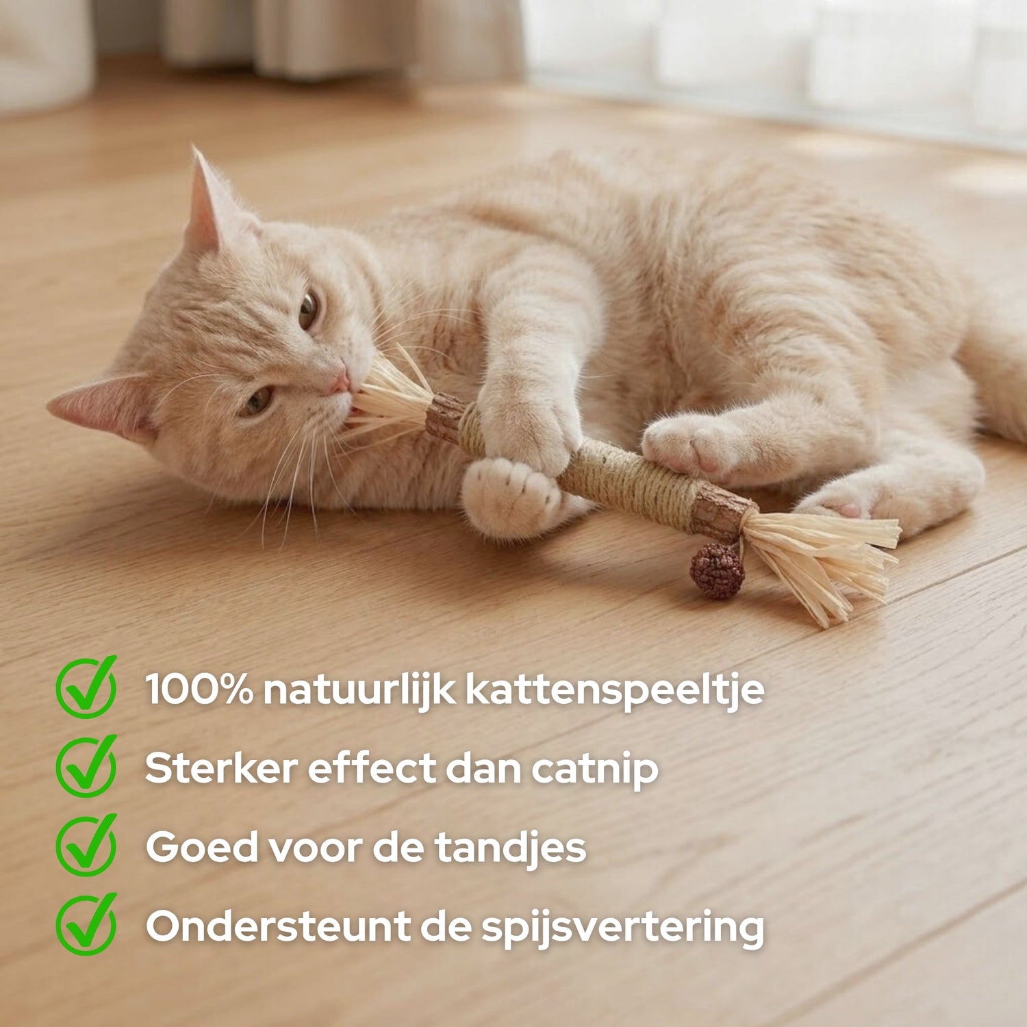 Matatabi stokjes voor katten - Sterker effect dan kattenkruid